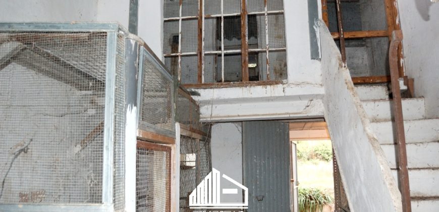 VILLA ELENA