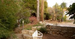THE OASIS