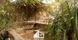 THE OASIS
