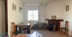 PROPERTY IN LARGE PLOT