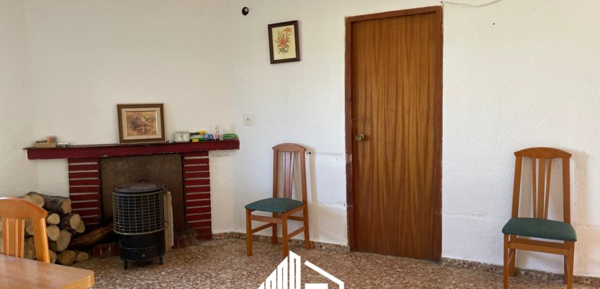 PROPERTY IN LARGE PLOT