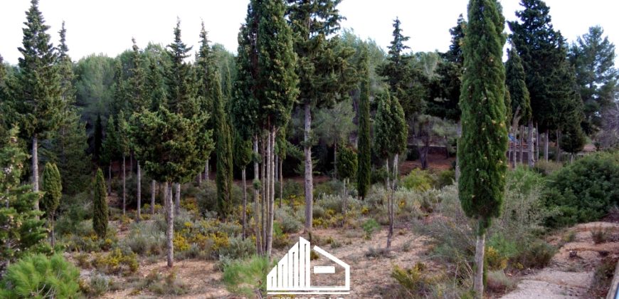 MASIA CORTICHELLES