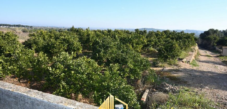 COUNTRY HOUSE WITH ORANGE TREES