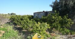 COUNTRY HOUSE WITH ORANGE TREES