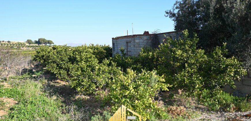 COUNTRY HOUSE WITH ORANGE TREES