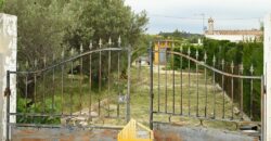 LITTLE HOUSE IN ALBORACHE