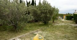 LITTLE HOUSE IN ALBORACHE