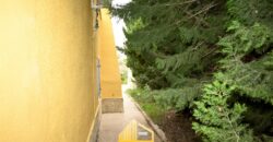 LITTLE HOUSE IN ALBORACHE