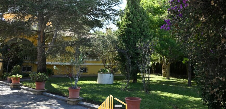 EL TORREÓN