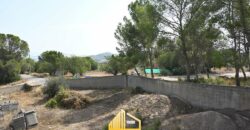 PARCELA CON CONSTRUCCION EN LLIRIA