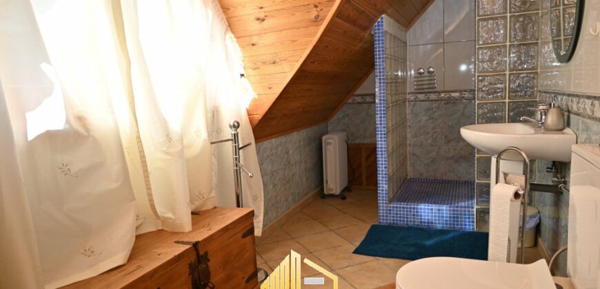 SPECTACULAR WOODEN HOUSE