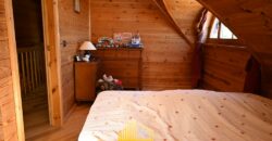 SPECTACULAR WOODEN HOUSE