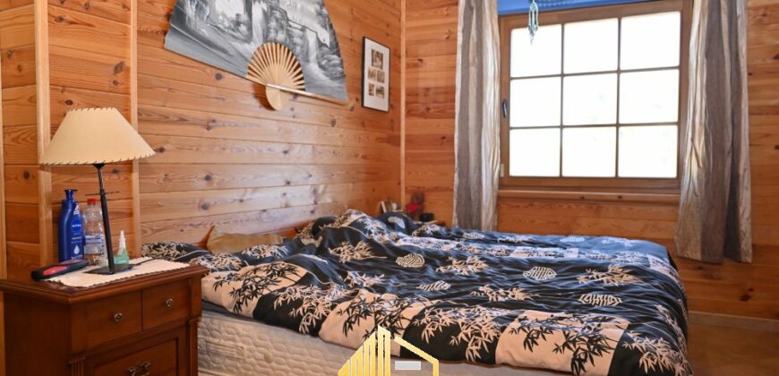 SPECTACULAR WOODEN HOUSE