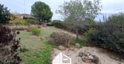 MARTINA’S WOODEN HOUSE