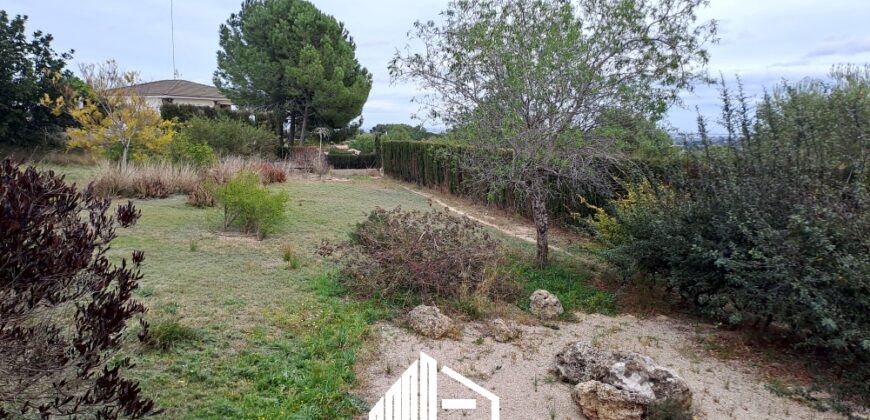 MARTINA’S WOODEN HOUSE