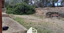 MARTINA’S WOODEN HOUSE