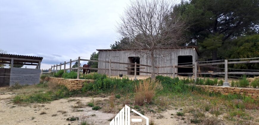 MARTINA’S WOODEN HOUSE