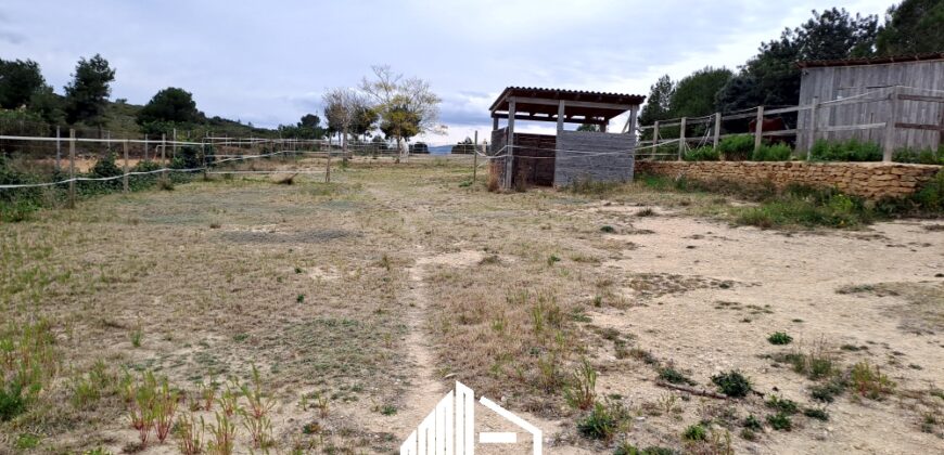 MARTINA’S WOODEN HOUSE