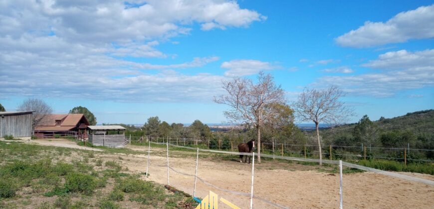 MARTINA’S WOODEN HOUSE