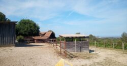 MARTINA’S WOODEN HOUSE