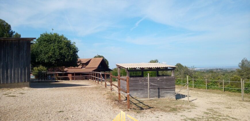 MARTINA’S WOODEN HOUSE