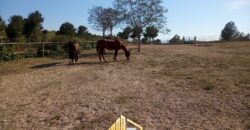 MARTINA’S WOODEN HOUSE