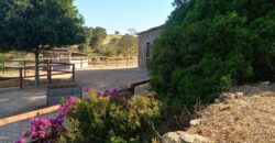 MARTINA’S WOODEN HOUSE