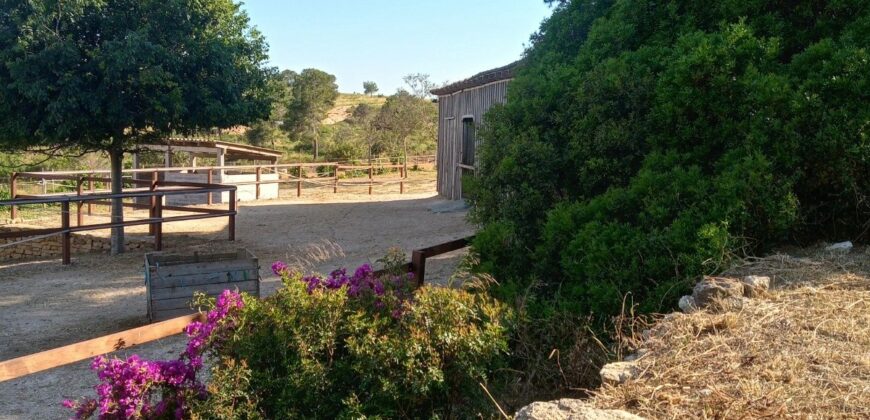 MARTINA’S WOODEN HOUSE