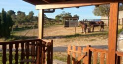 MARTINA’S WOODEN HOUSE