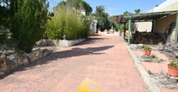 VILLA JUNCO