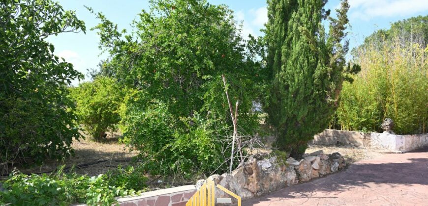 VILLA JUNCO