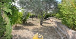 VILLA JUNCO