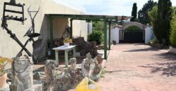 VILLA JUNCO