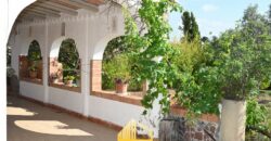 VILLA JUNCO